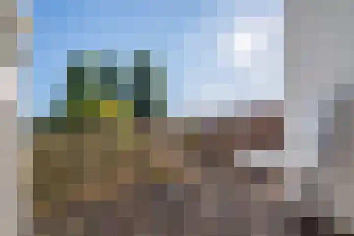 Maanstraat 11 Nijmegen thumbnail 24