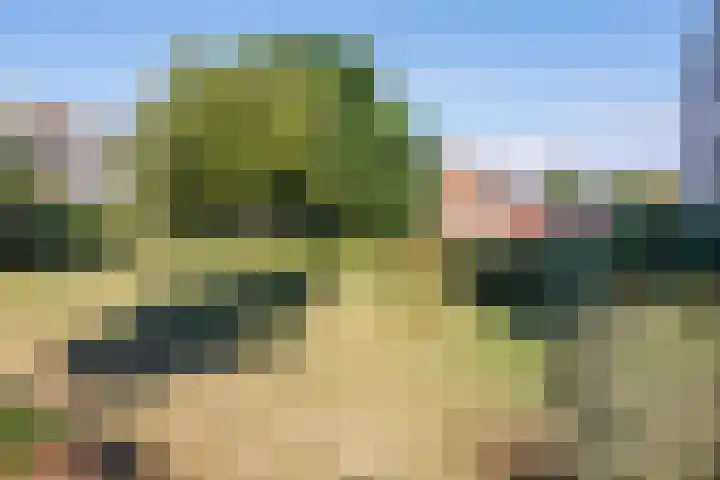 Maanstraat 11 Nijmegen thumbnail 30