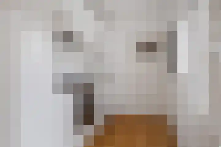 Maanstraat 12 Breda thumbnail 10