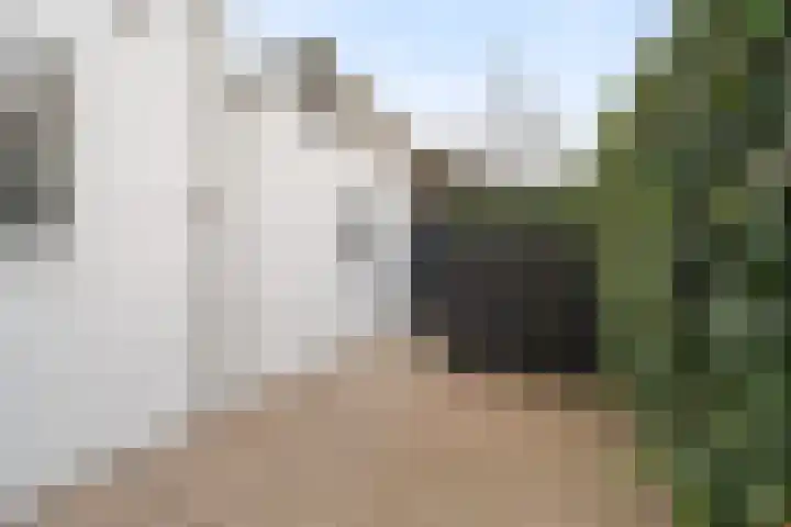 Maanstraat 12 Breda thumbnail 13