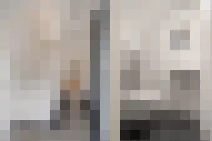 Maanstraat 12 Breda thumbnail 17