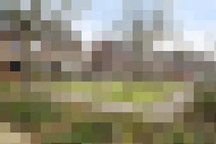 Maanstraat 12 Breda thumbnail 33