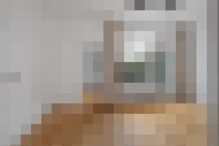 Maanstraat 12 Breda thumbnail 5