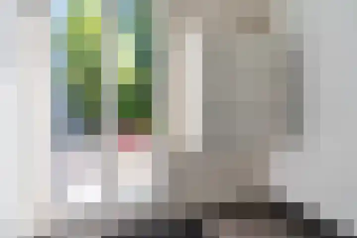 Maanstraat 13 Nijmegen thumbnail 7