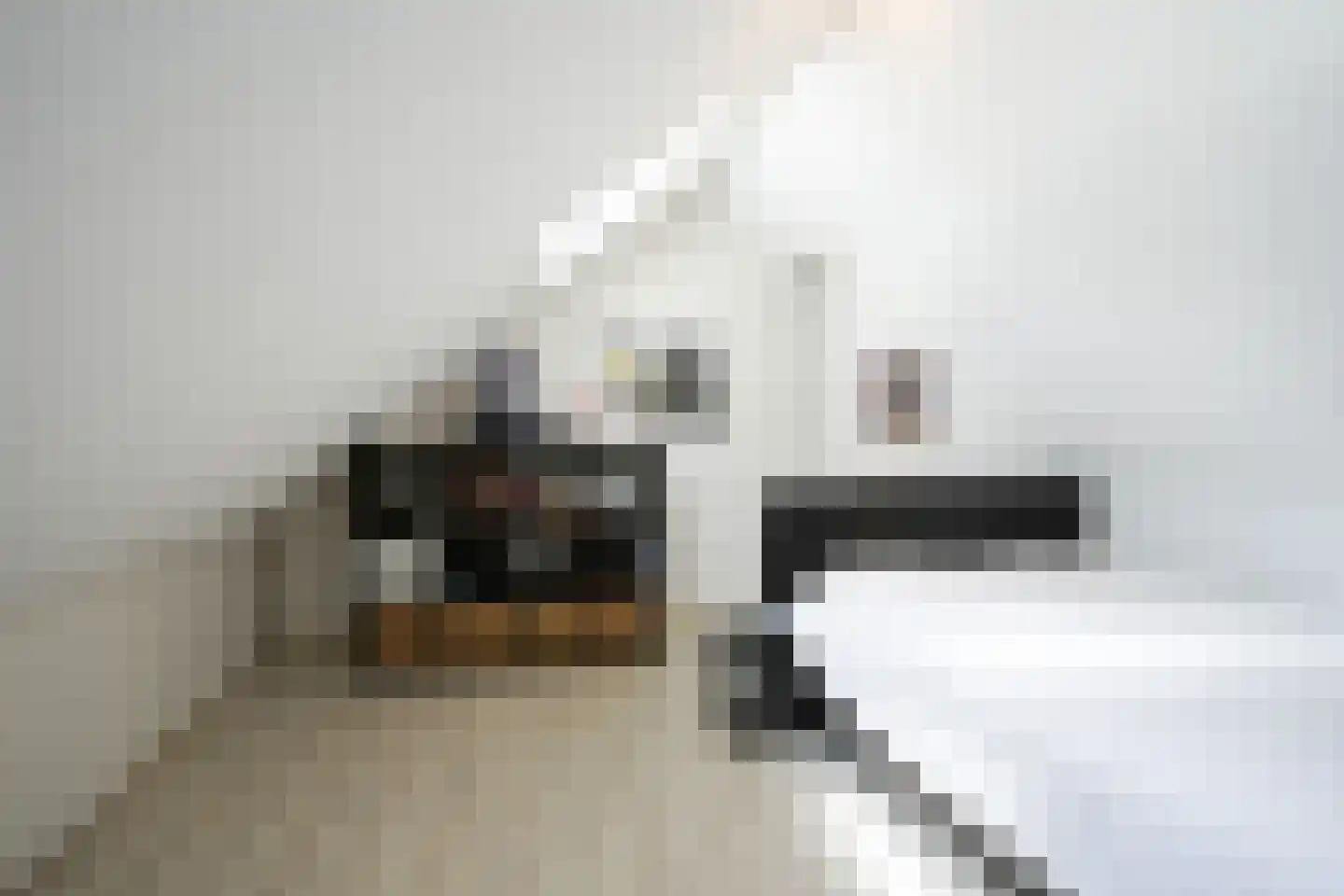 Maanstraat 14 A Brunssum thumbnail 16