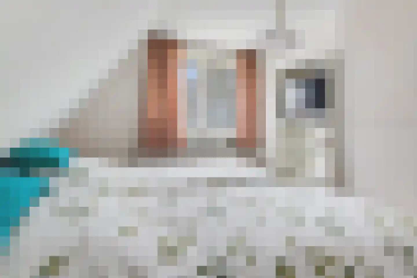 Maanstraat 17 Brunssum thumbnail 11