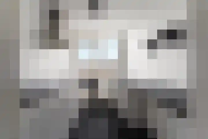 Maanstraat 27 Nijmegen thumbnail 15