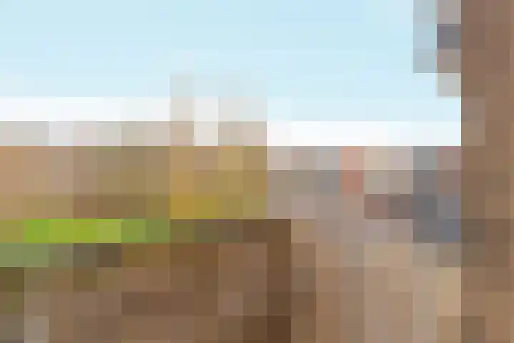 Maanstraat 27 Nijmegen thumbnail 33