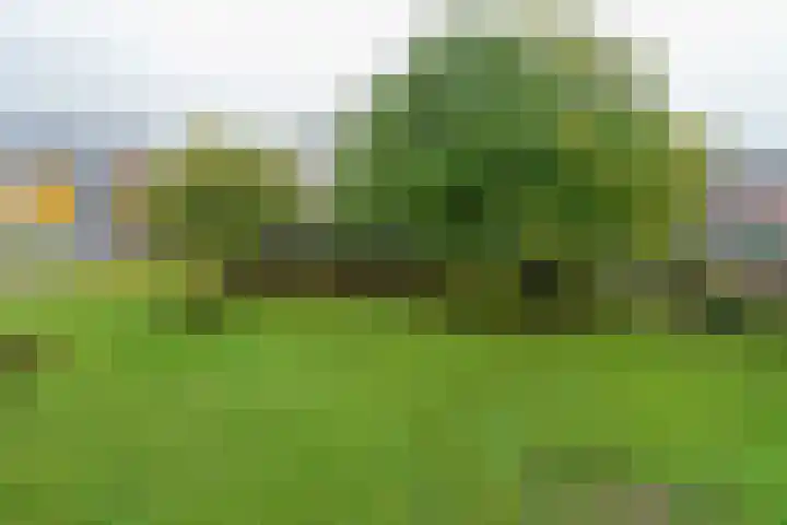 Maanstraat 35 Nijmegen thumbnail 4