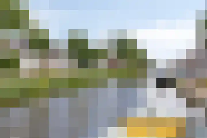 Maanstraat 4 Geleen thumbnail 23