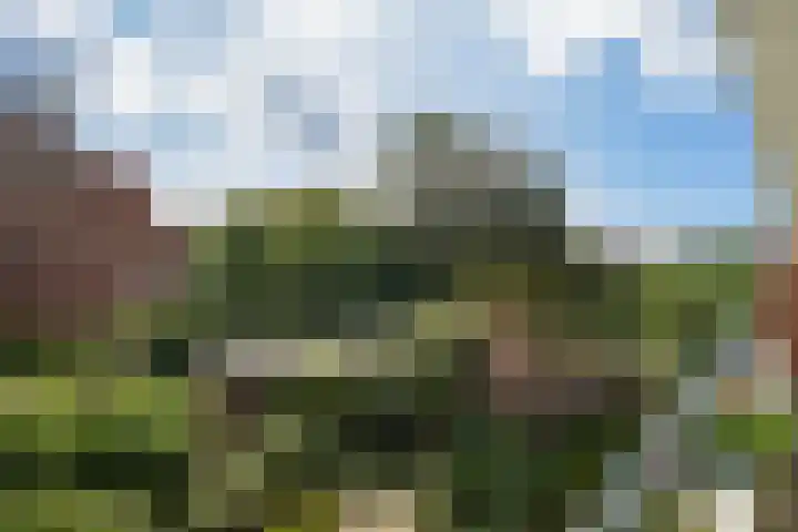 Maanstraat 4 Geleen thumbnail 27