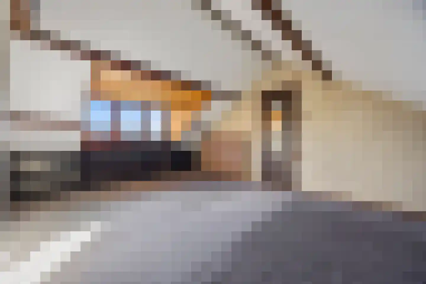 Maanstraat 4 Nijmegen thumbnail 23