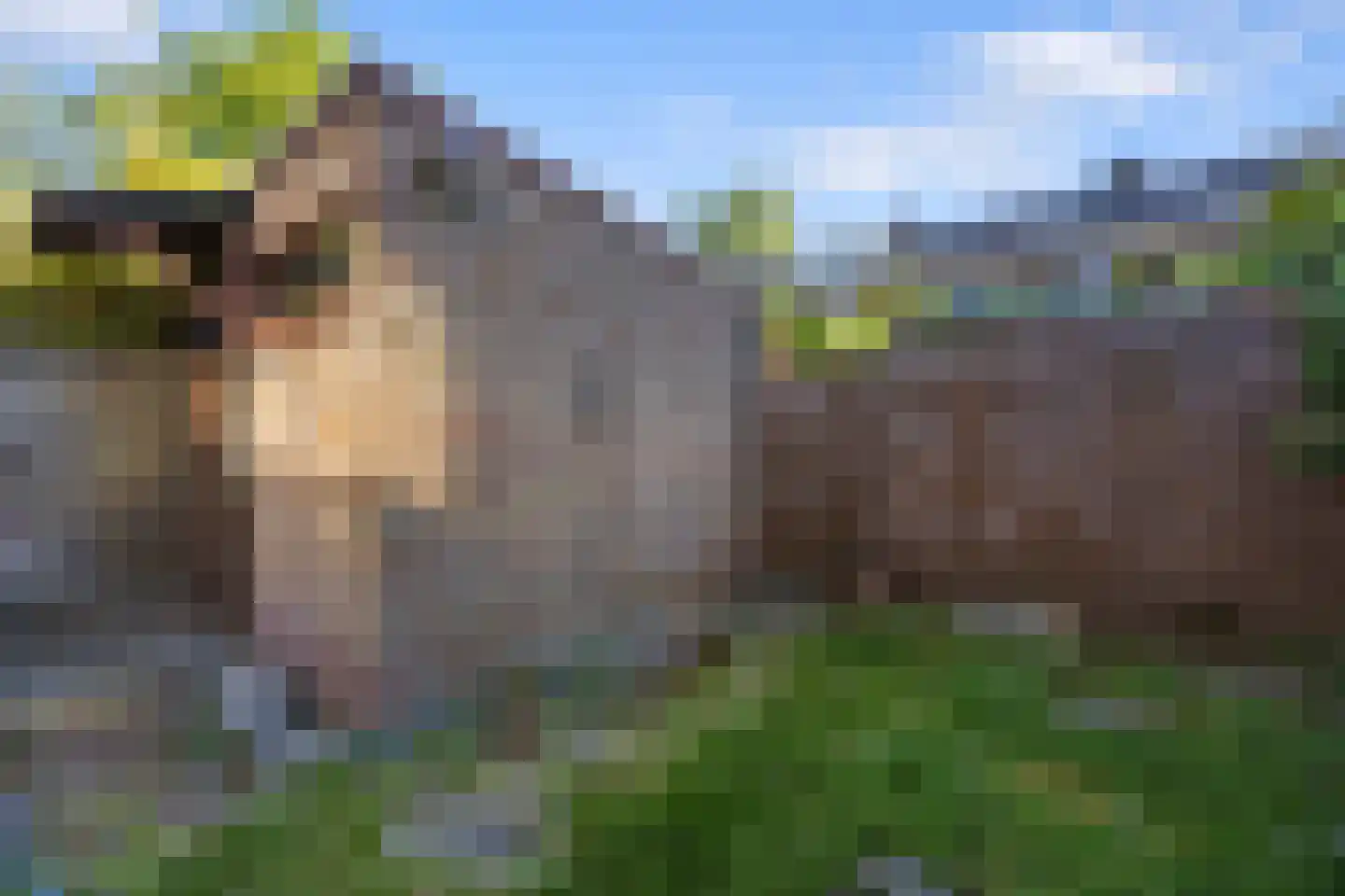 Maanstraat 4 Nijmegen thumbnail 30