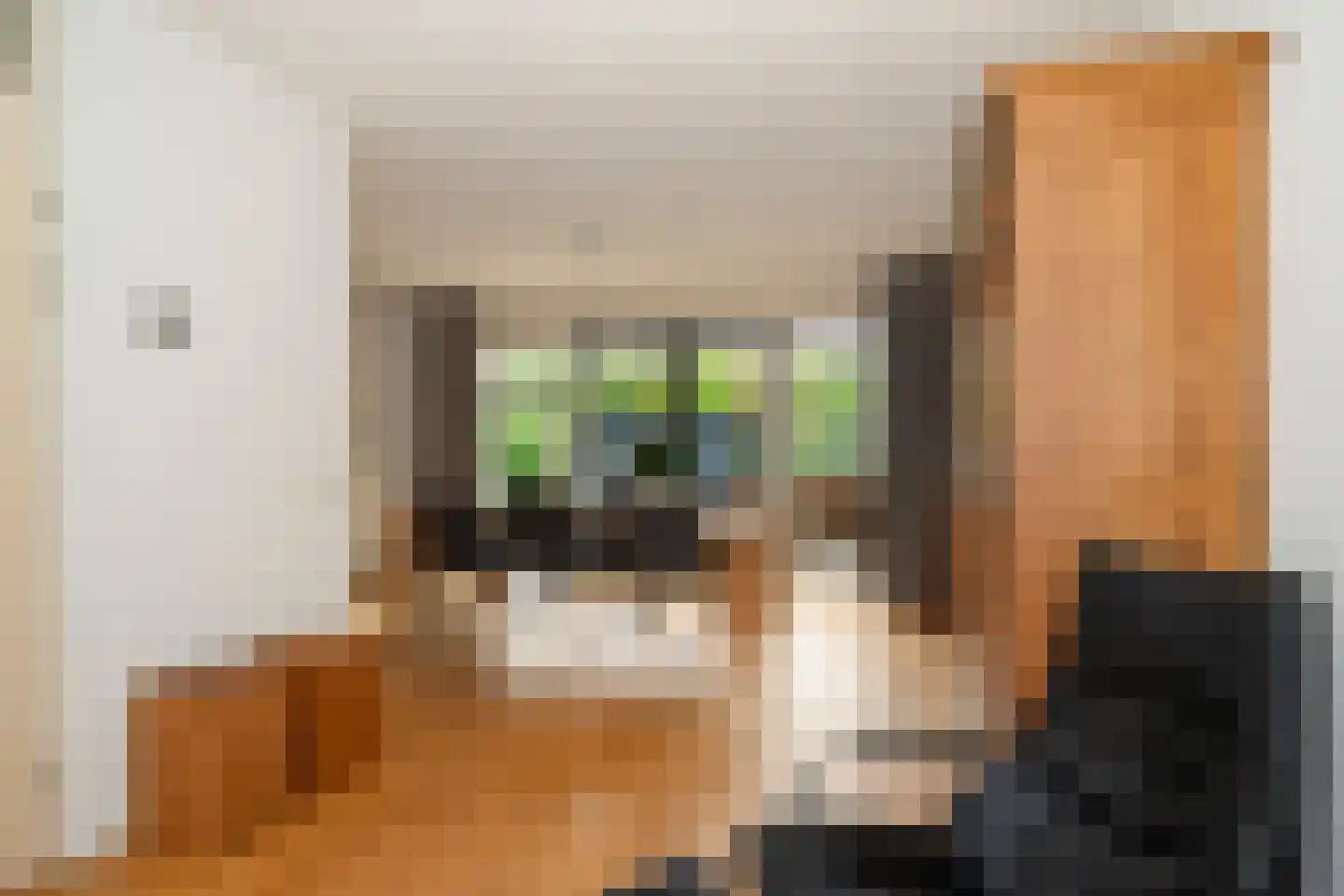 Maanstraat 4 Sittard thumbnail 19