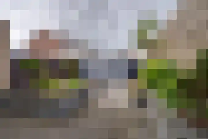 Maanstraat 47 Volendam thumbnail 4