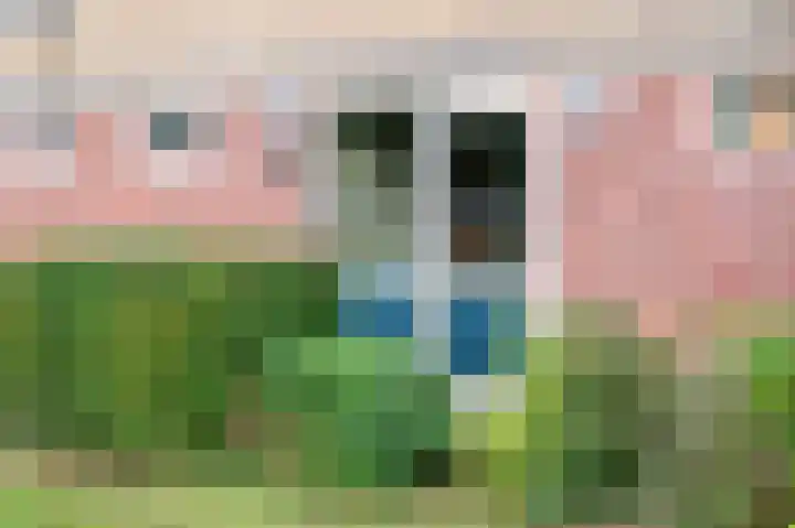 Maanstraat 9 Nijmegen thumbnail 26