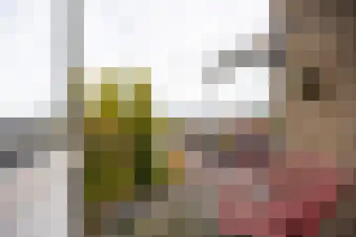 Maanstraat 9 Nijmegen thumbnail 30