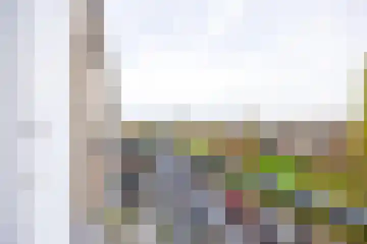 Maanstraat 9 Nijmegen thumbnail 32