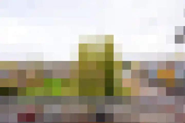 Maanstraat 9 Nijmegen thumbnail 33