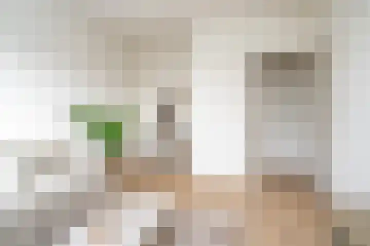 Maanstraat 9 Nijmegen thumbnail 5