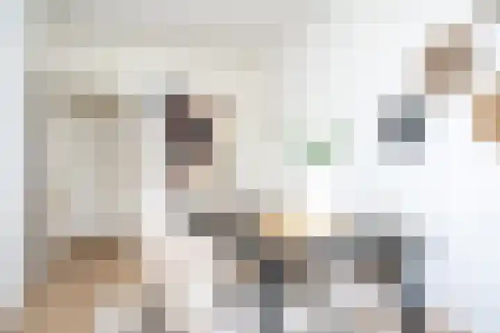 Maanstraat 9 Nijmegen thumbnail 9
