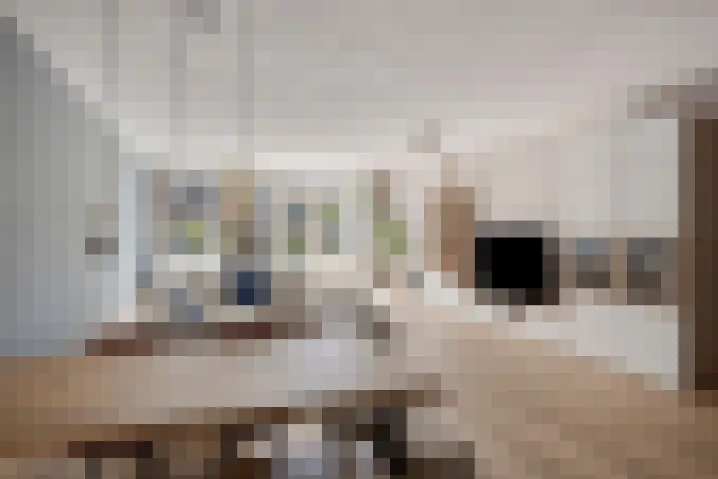 Maanvlinder 10 Leiden thumbnail 12