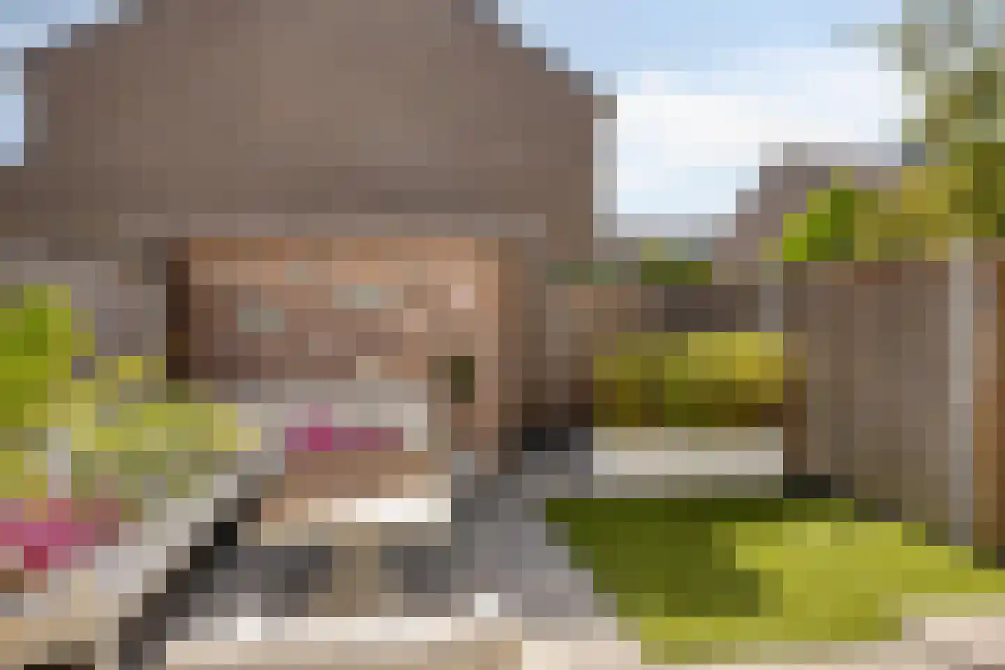 Maanvlinder 10 Leiden thumbnail 15
