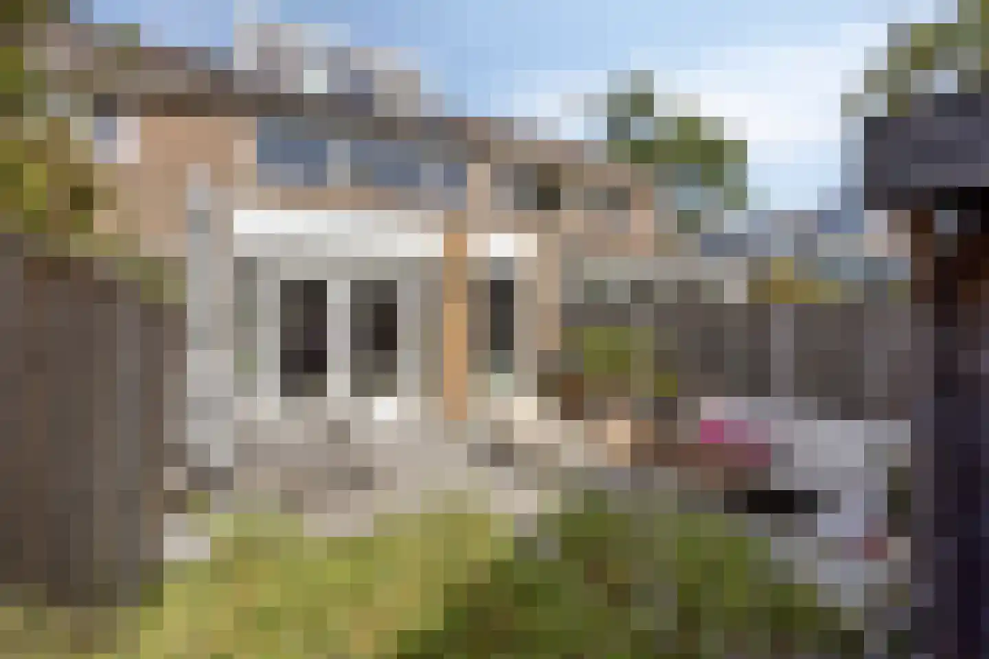 Maanvlinder 10 Leiden thumbnail 16