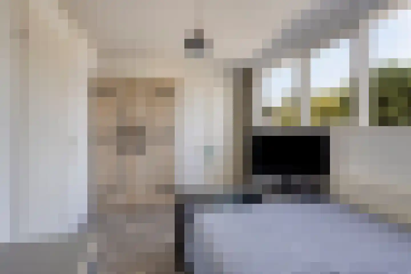 Maanvlinder 10 Leiden thumbnail 19