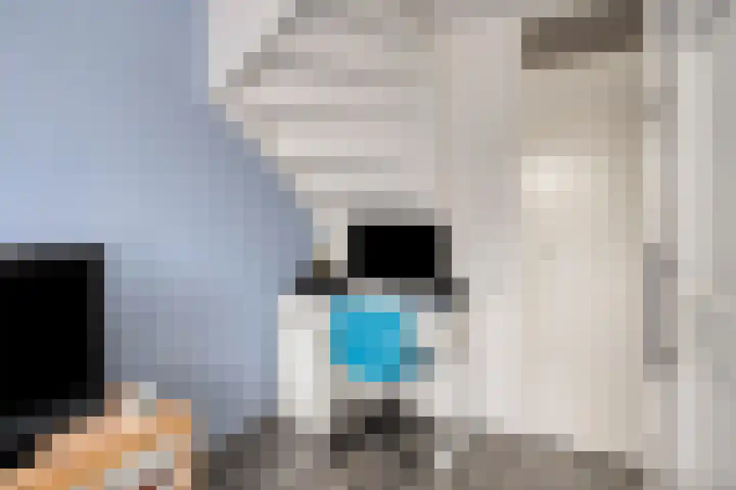 Maanvlinder 10 Leiden thumbnail 25