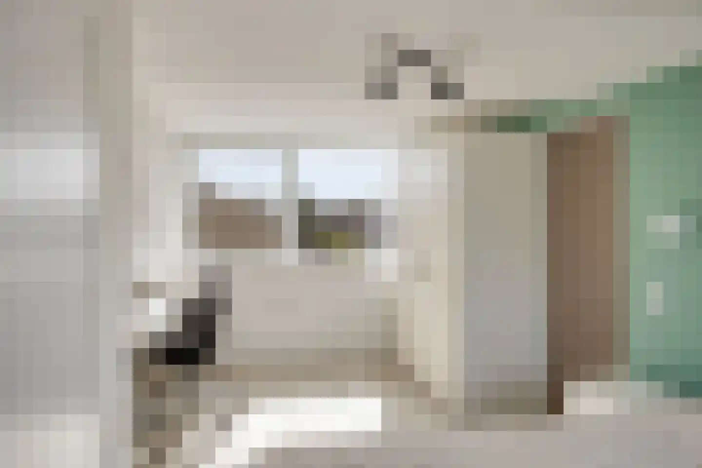 Maanvlinder 10 Leiden thumbnail 28
