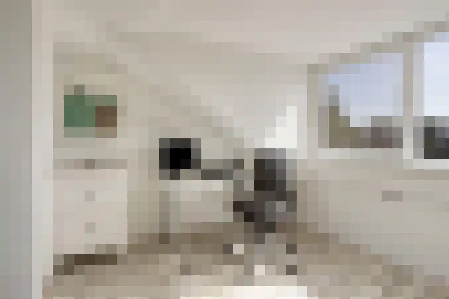 Maanvlinder 10 Leiden thumbnail 29