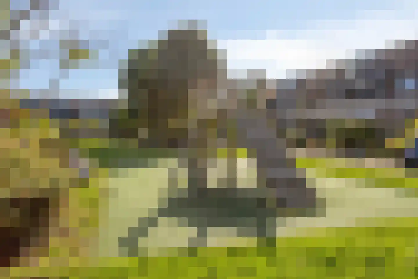 Maanvlinder 10 Leiden thumbnail 30