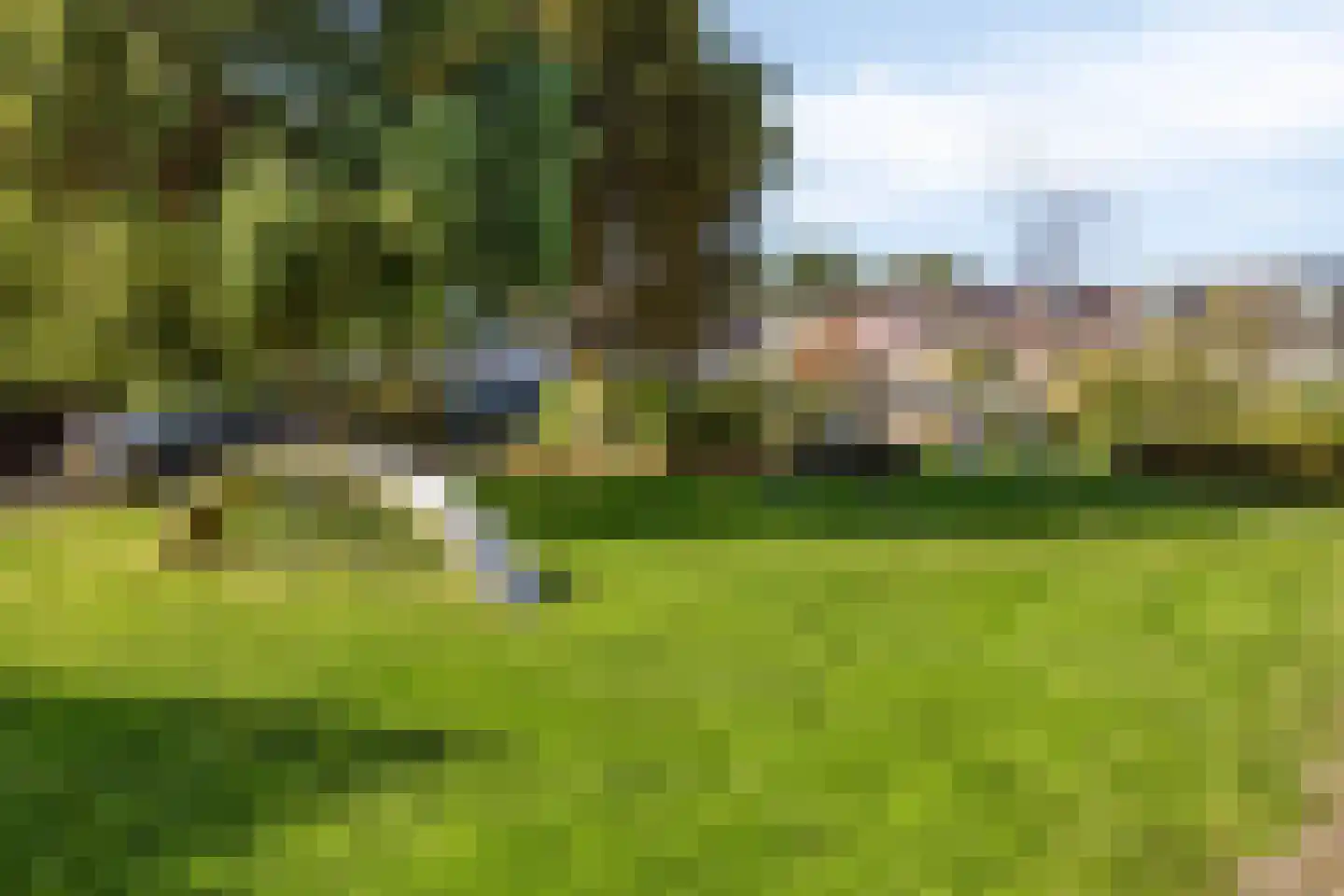 Maanvlinder 10 Leiden thumbnail 31