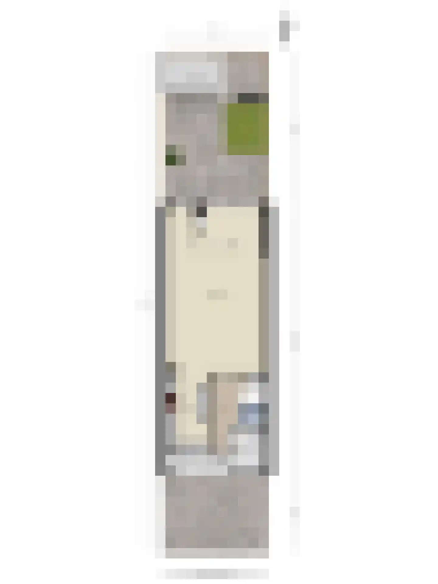 Maanvlinder 10 Leiden thumbnail 35