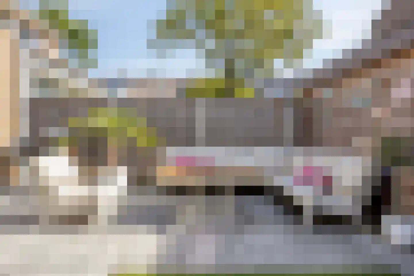 Maanvlinder 10 Leiden thumbnail 4