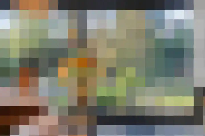 Maanvlinderlaan 6 Eindhoven thumbnail 11