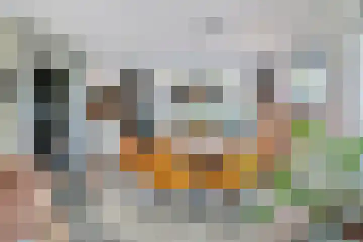 Maanvlinderlaan 6 Eindhoven thumbnail 13