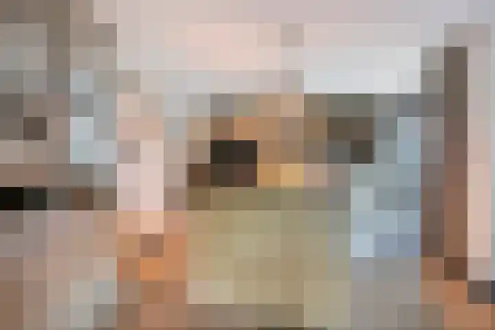 Maanvlinderlaan 6 Eindhoven thumbnail 16