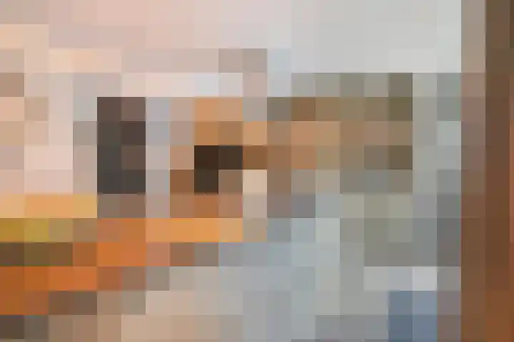 Maanvlinderlaan 6 Eindhoven thumbnail 17