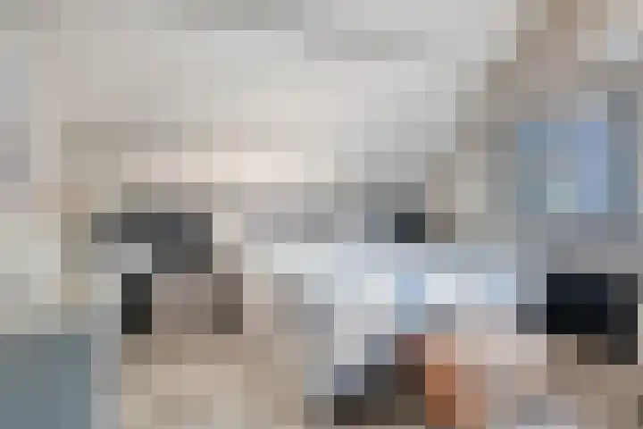Maanvlinderlaan 6 Eindhoven thumbnail 22