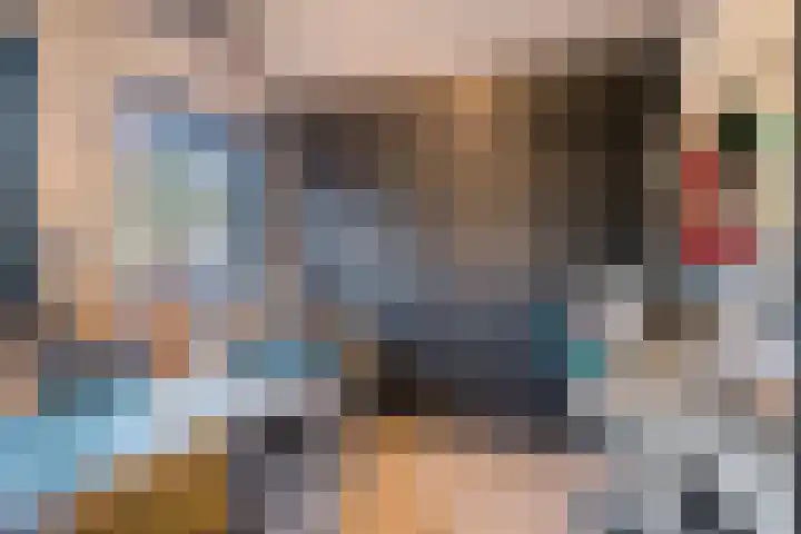 Maanvlinderlaan 6 Eindhoven thumbnail 28