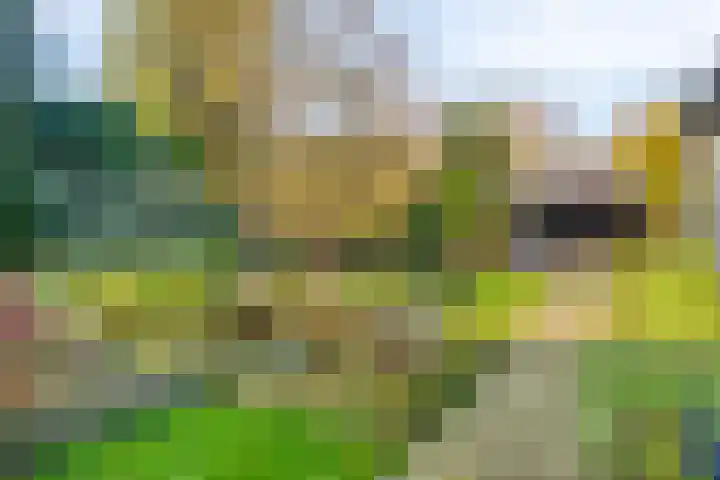Maanvlinderlaan 6 Eindhoven thumbnail 29