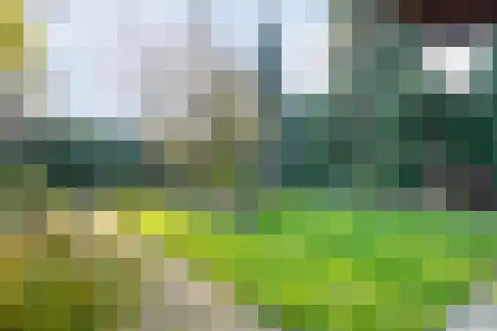 Maanvlinderlaan 6 Eindhoven thumbnail 30