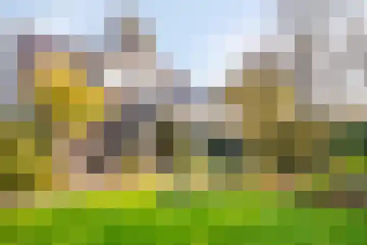 Maanvlinderlaan 6 Eindhoven thumbnail 32