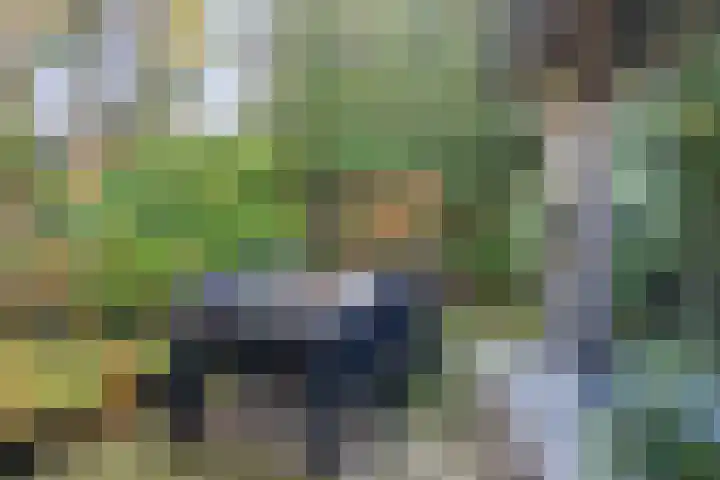 Maanvlinderlaan 6 Eindhoven thumbnail 34