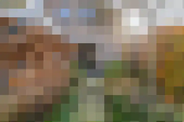 Maanvlinderlaan 6 Eindhoven thumbnail 35