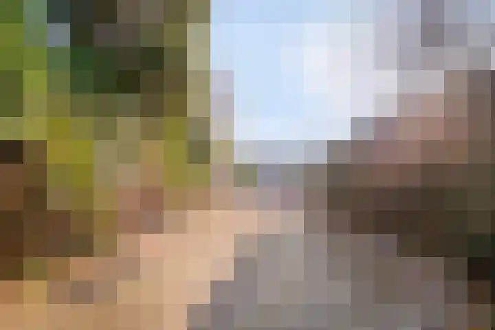 Maanvlinderlaan 6 Eindhoven thumbnail 36