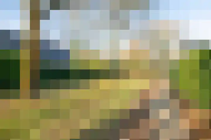Maanvlinderlaan 6 Eindhoven thumbnail 37