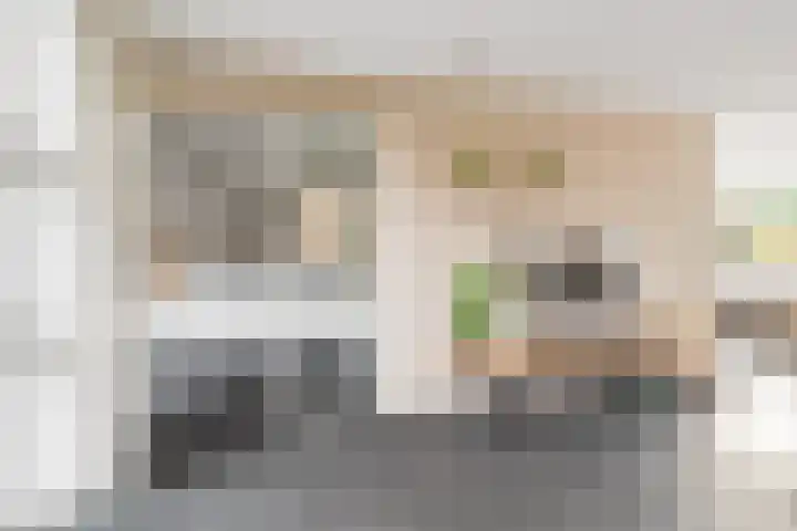 Maanvogel 4 Franeker thumbnail 10